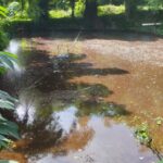 WhatsApp-Image-2023-11-24-at-18.49.5511