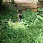 WhatsApp Image 2023-11-24 at 18.49.56(2)