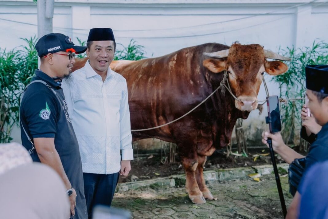 Pemkab Karawang Salurkan Sapi Kurban Presiden 1,2 Ton dan 25 Ekor Sapi ASN Berbagi