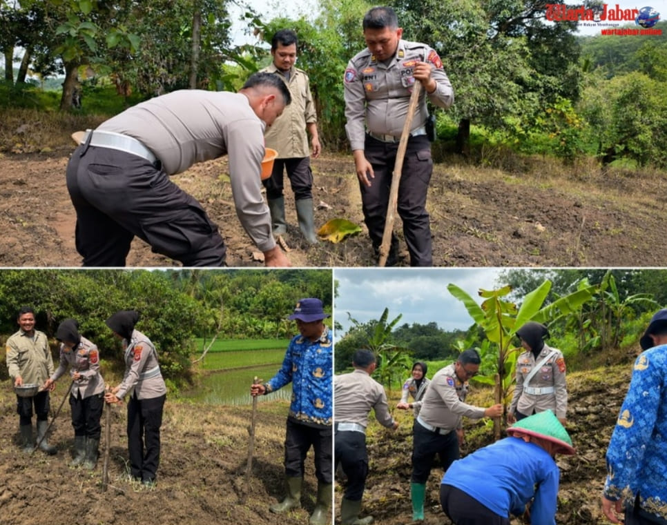Sat Lantas Polres Kuningan Tanam Jagung di Desa Cibulan, Dukung Program Ketahanan Pangan Nasional